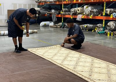 rug inspection